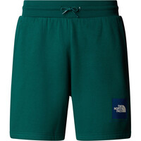 The North Face pantalón corto montaña hombre M BOX NSE REGULAR SHORT vista frontal