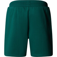 The North Face pantalón corto montaña hombre M BOX NSE REGULAR SHORT vista trasera