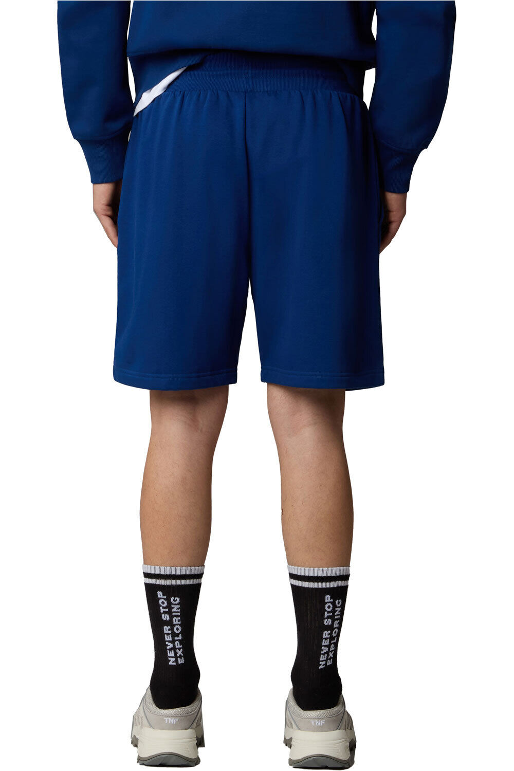 The North Face pantalón corto montaña hombre M BOX NSE REGULAR SHORT vista trasera