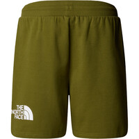 The North Face pantalón corto montaña hombre M EASY REGULAR SHORT 03