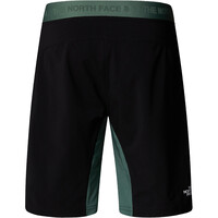 The North Face pantalón corto montaña hombre M FELIK SLIM TAPERED SHORT 03