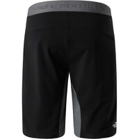 The North Face pantalón corto montaña hombre M FELIK SLIM TAPERED SHORT 03