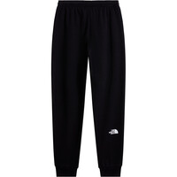 The North Face pantalón hombre M EVO BOX HALF DOME REGULAR TAPERED JOGG 03