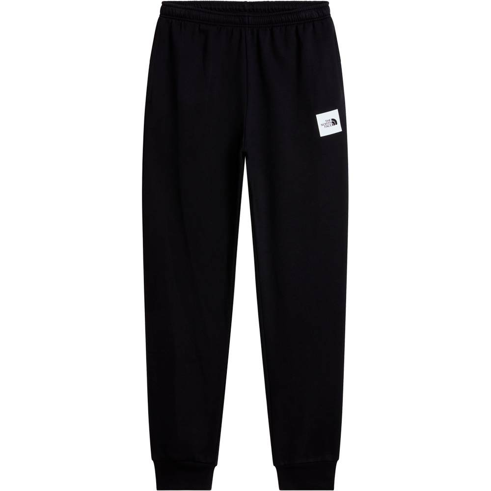 The North Face pantalón hombre M EVO BOX HALF DOME REGULAR TAPERED JOGG vista detalle