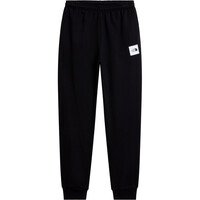 The North Face pantalón hombre M EVO BOX HALF DOME REGULAR TAPERED JOGG vista detalle