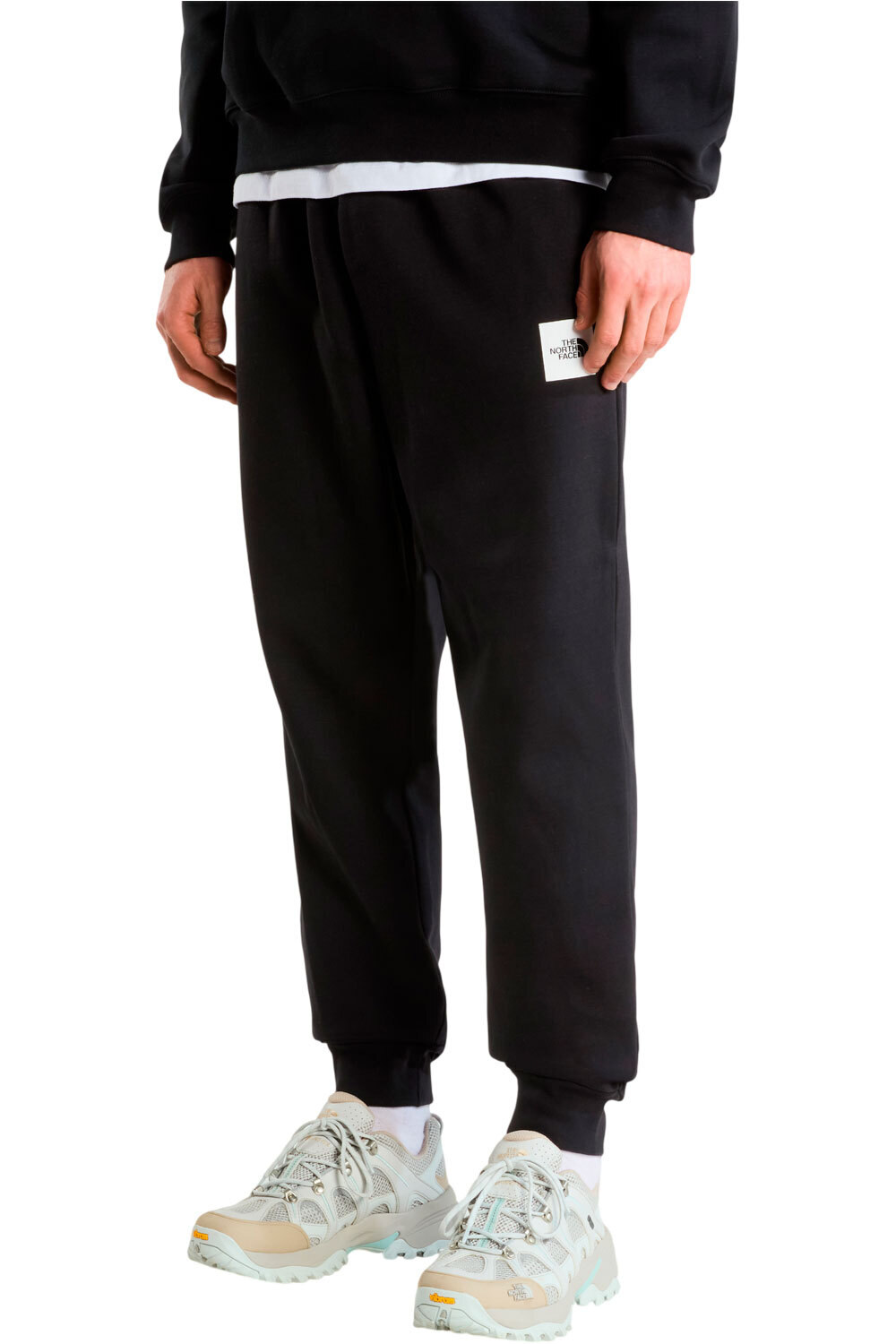 The North Face pantalón hombre M EVO BOX HALF DOME REGULAR TAPERED JOGG vista frontal
