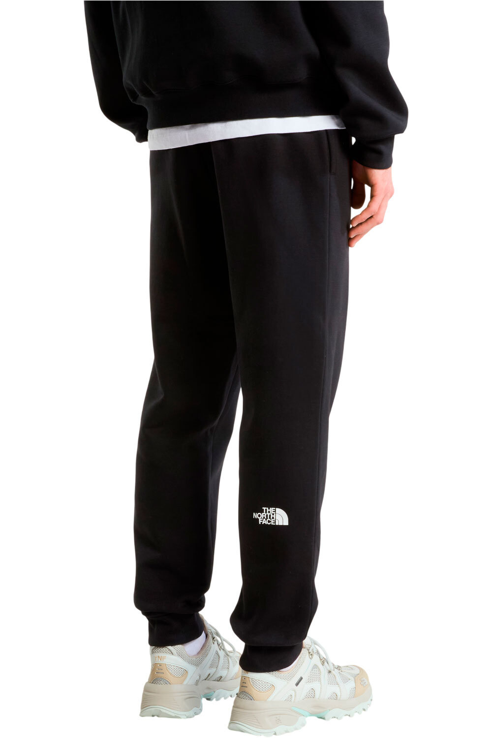 The North Face pantalón hombre M EVO BOX HALF DOME REGULAR TAPERED JOGG vista trasera