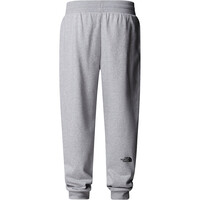 The North Face pantalón hombre M FINE REGULAR TAPERED JOGGER vista trasera