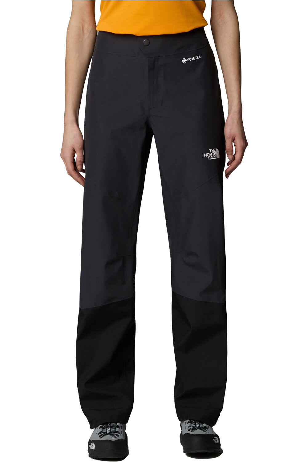 The North Face pantalón impermeable mujer W JAZZI GTX PANT vista frontal
