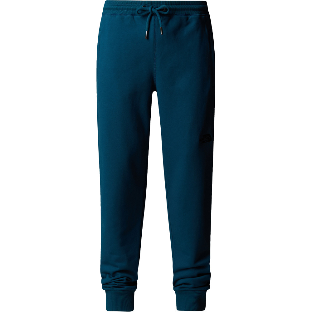 The North Face pantalón montaña hombre M NSE PANT vista frontal