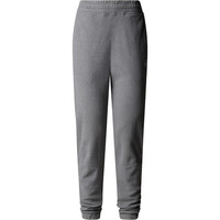 The North Face pantalón montaña mujer W 100 GLACIER JOGGER vista detalle