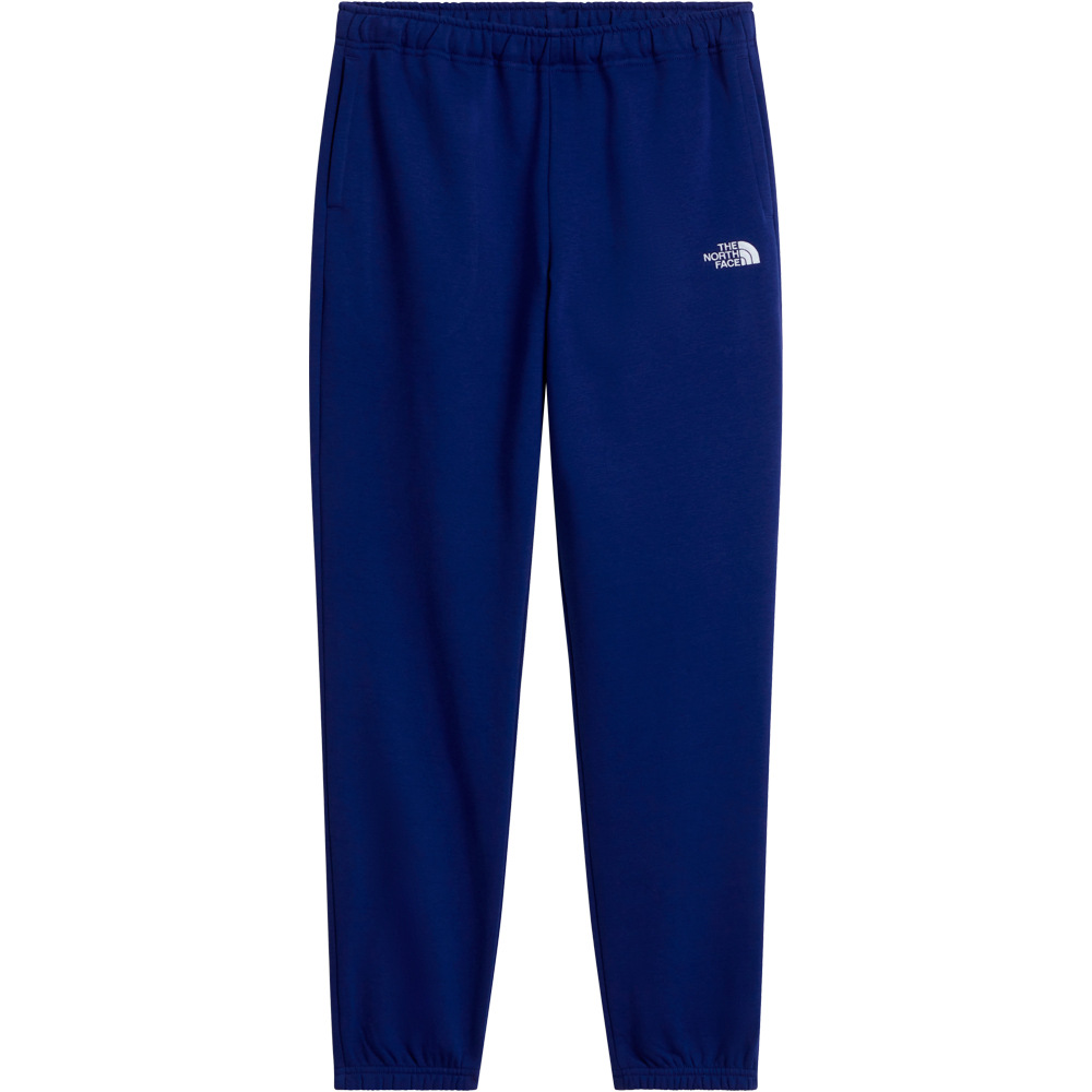 The North Face pantalón niño TEEN EVOLUTION SIMPLE DOME PANT vista detalle