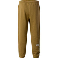 The North Face pantalón niño TEEN SIMPLE DOME LIGHT REG TAP JOGGERS 03