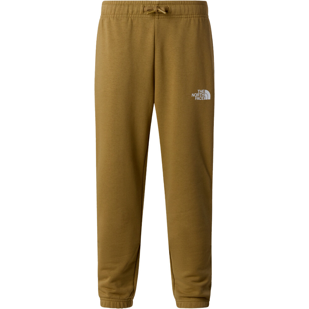 The North Face pantalón niño TEEN SIMPLE DOME LIGHT REG TAP JOGGERS vista detalle