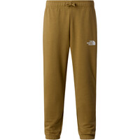 The North Face pantalón niño TEEN SIMPLE DOME LIGHT REG TAP JOGGERS vista detalle