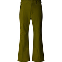 The North Face pantalones esquí hombre M DESCENDIT PANT vista detalle