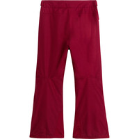 The North Face pantalones esquí infantil G FREEDOM INSULATED PANT 03