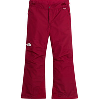 The North Face pantalones esquí infantil G FREEDOM INSULATED PANT vista detalle