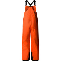 The North Face pantalones esquí infantil TEEN FREEDOM INSULATED BIB 03