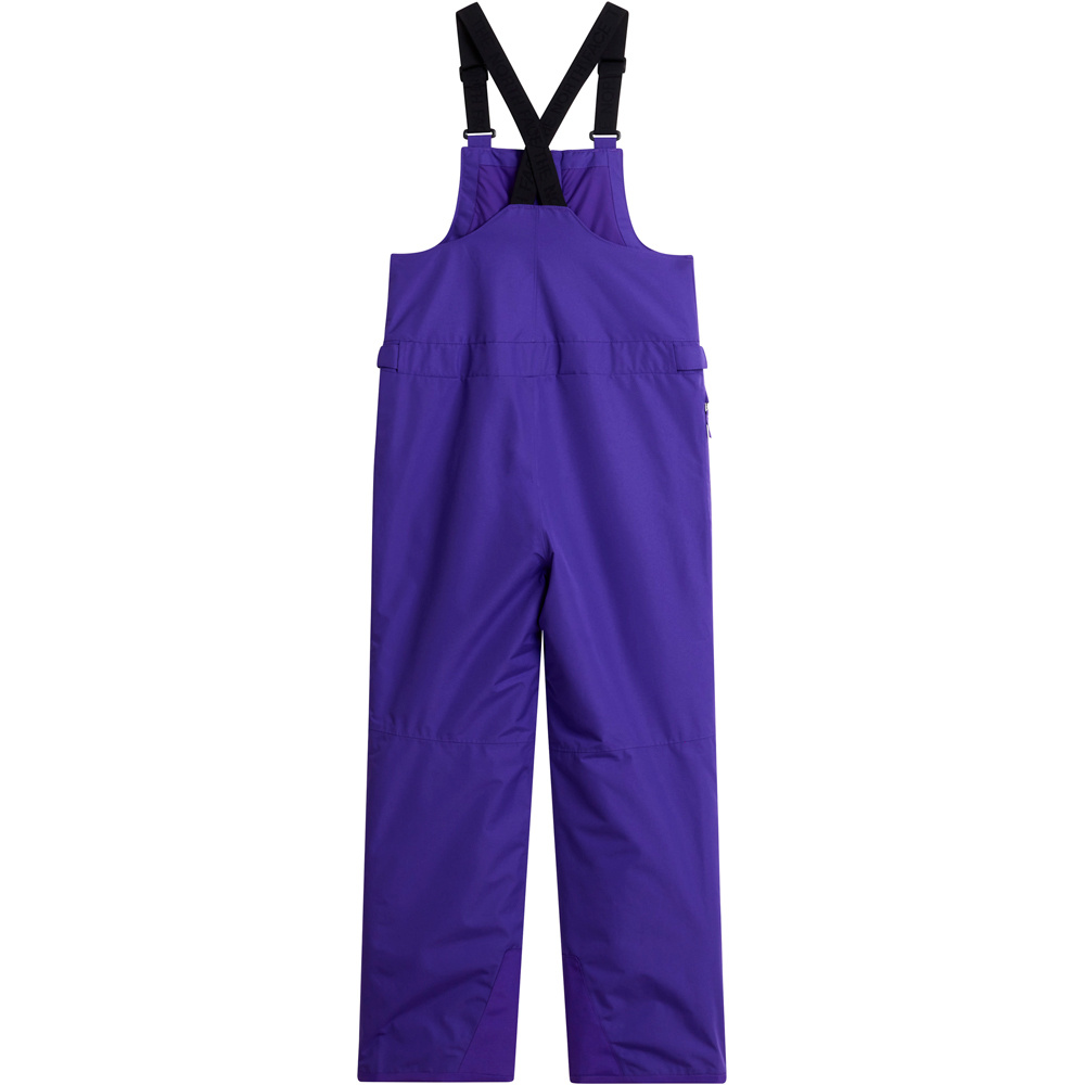 The North Face pantalones esquí infantil TEEN FREEDOM INSULATED BIB vista detalle