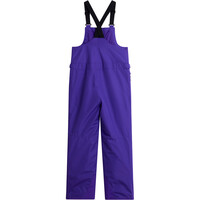 The North Face pantalones esquí infantil TEEN FREEDOM INSULATED BIB vista detalle