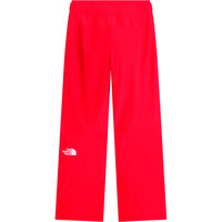 The North Face pantalones esquí mujer W DESCENDIT PANT 03