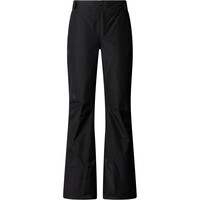 The North Face pantalones esquí mujer W DESCENDIT PANT vista detalle
