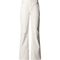 The North Face pantalones esquí mujer W DESCENDIT PANT vista detalle