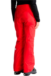 The North Face pantalones esquí mujer W DESCENDIT PANT vista trasera