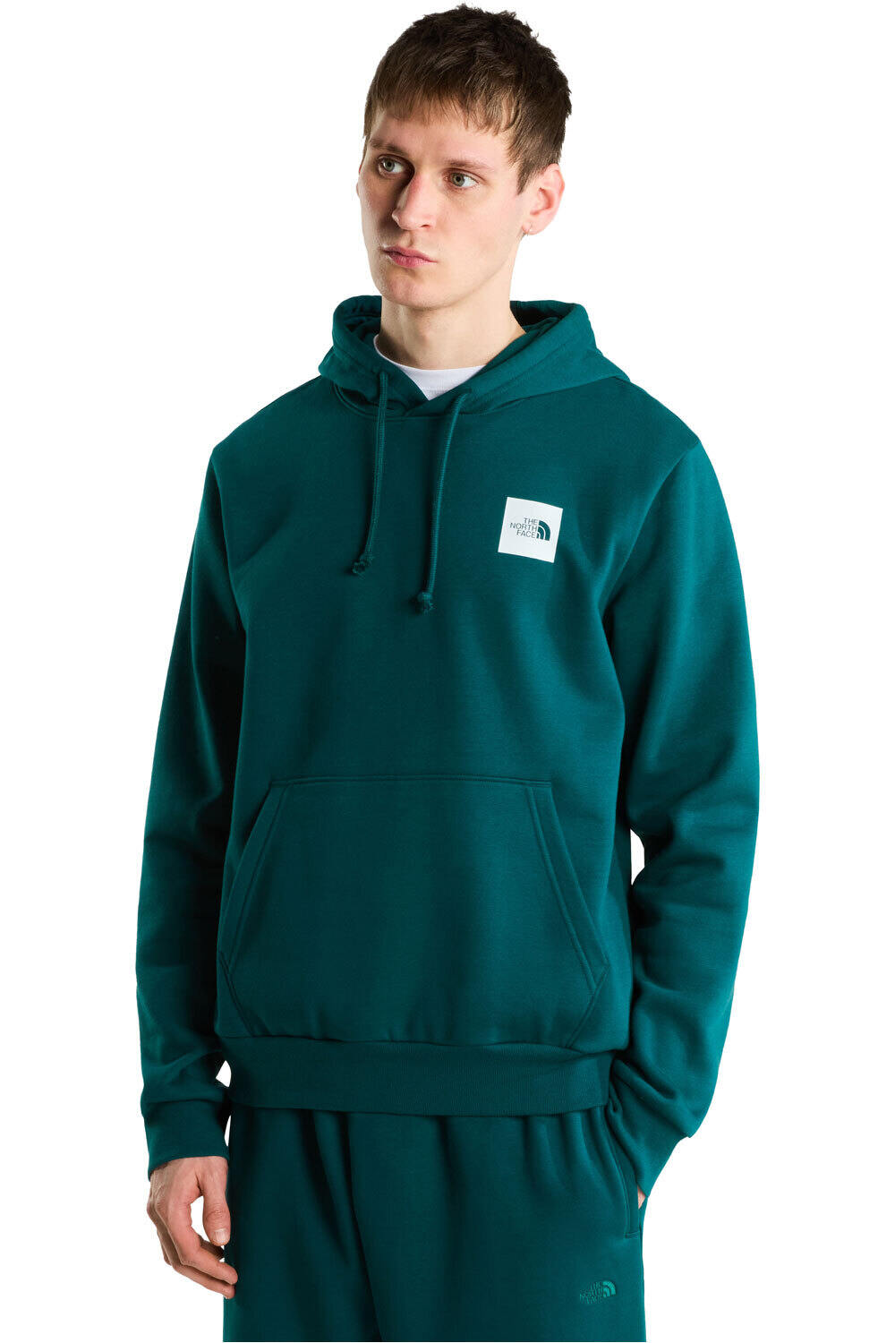 The North Face sudadera hombre M BOX HALF DOME HOODIE vista frontal
