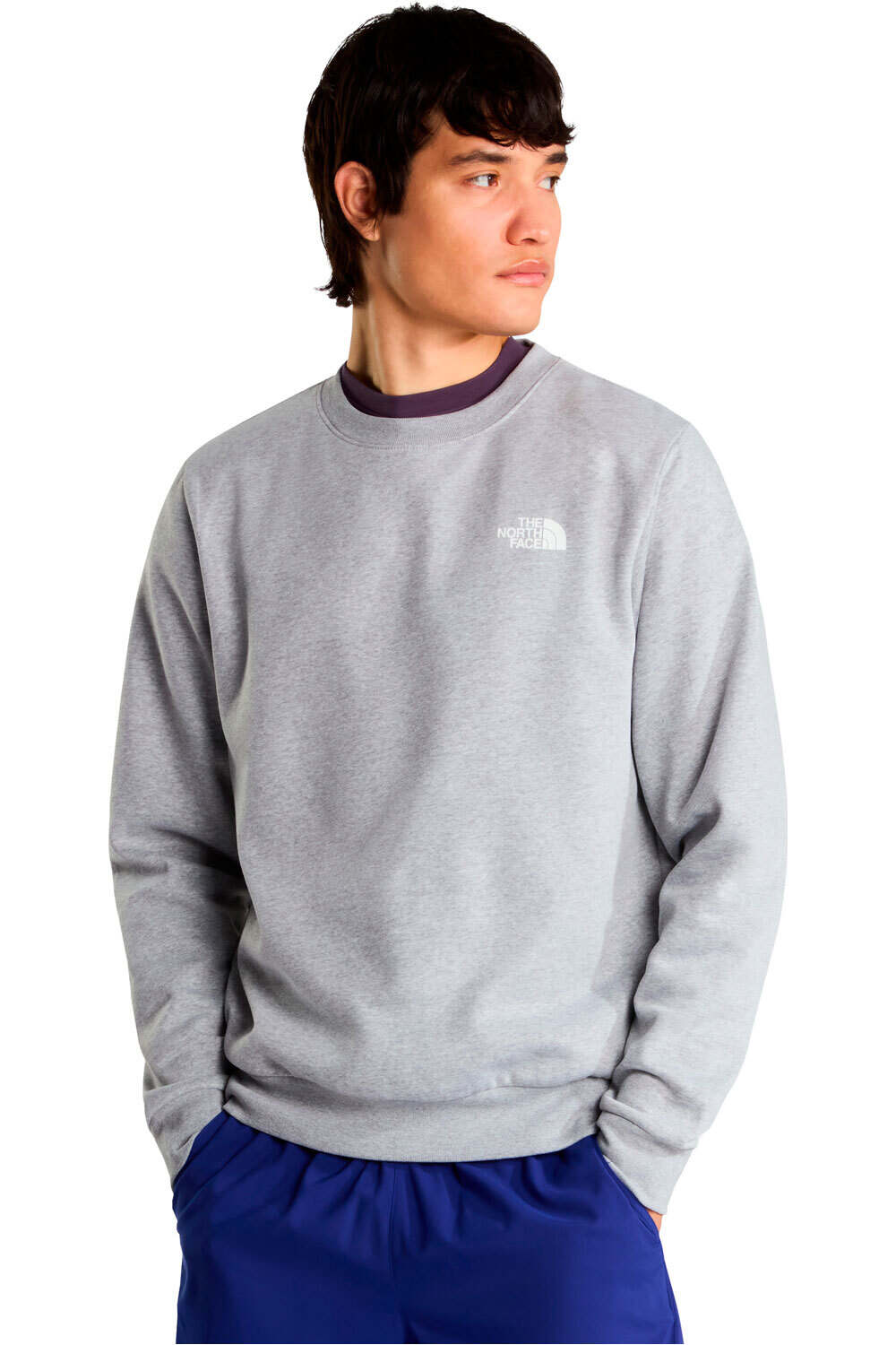 The North Face sudadera hombre M EVOLUTION BOX NSE CREW vista frontal