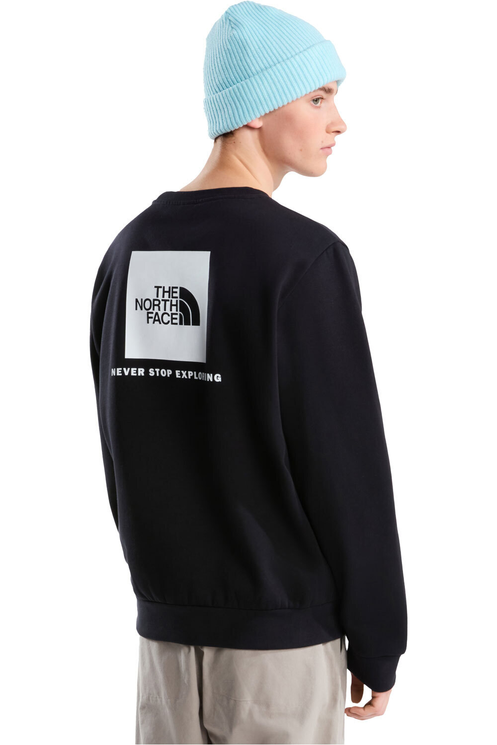 The North Face sudadera hombre M EVOLUTION BOX NSE CREW vista trasera