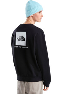 The North Face sudadera hombre M EVOLUTION BOX NSE CREW vista trasera