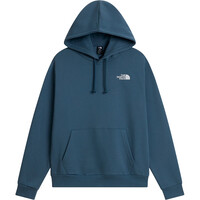 The North Face sudadera hombre M EVOLUTION BOX NSE HOODIE vista detalle