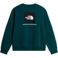 The North Face sudadera hombre M EVOLUTION BOX NSE REGULAR CREW 03