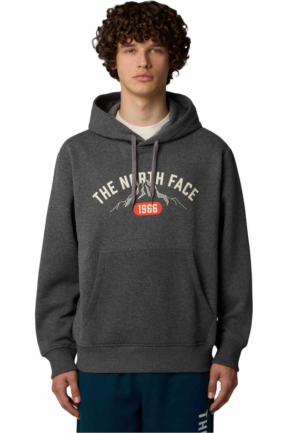 The North Face sudadera hombre M HOODIE VARSITY GRAPHIC vista frontal
