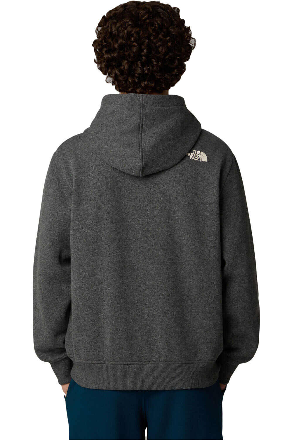 The North Face sudadera hombre M HOODIE VARSITY GRAPHIC vista trasera