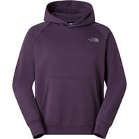 The North Face sudadera hombre M RAGLAN BOX NSE REGULAR HOODIE 03