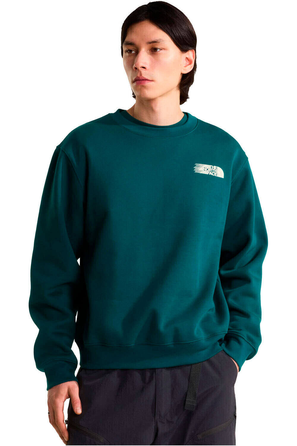 The North Face sudadera hombre M RETRO TRAIL RELAXED CREW - GRAPHIC vista frontal