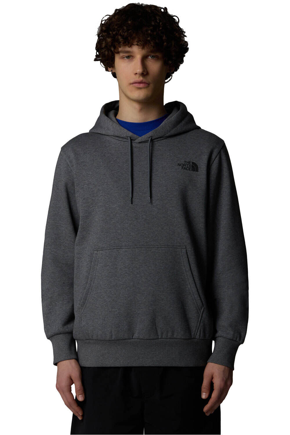 The North Face sudadera hombre M SIMPLE DOME HOODIE vista frontal