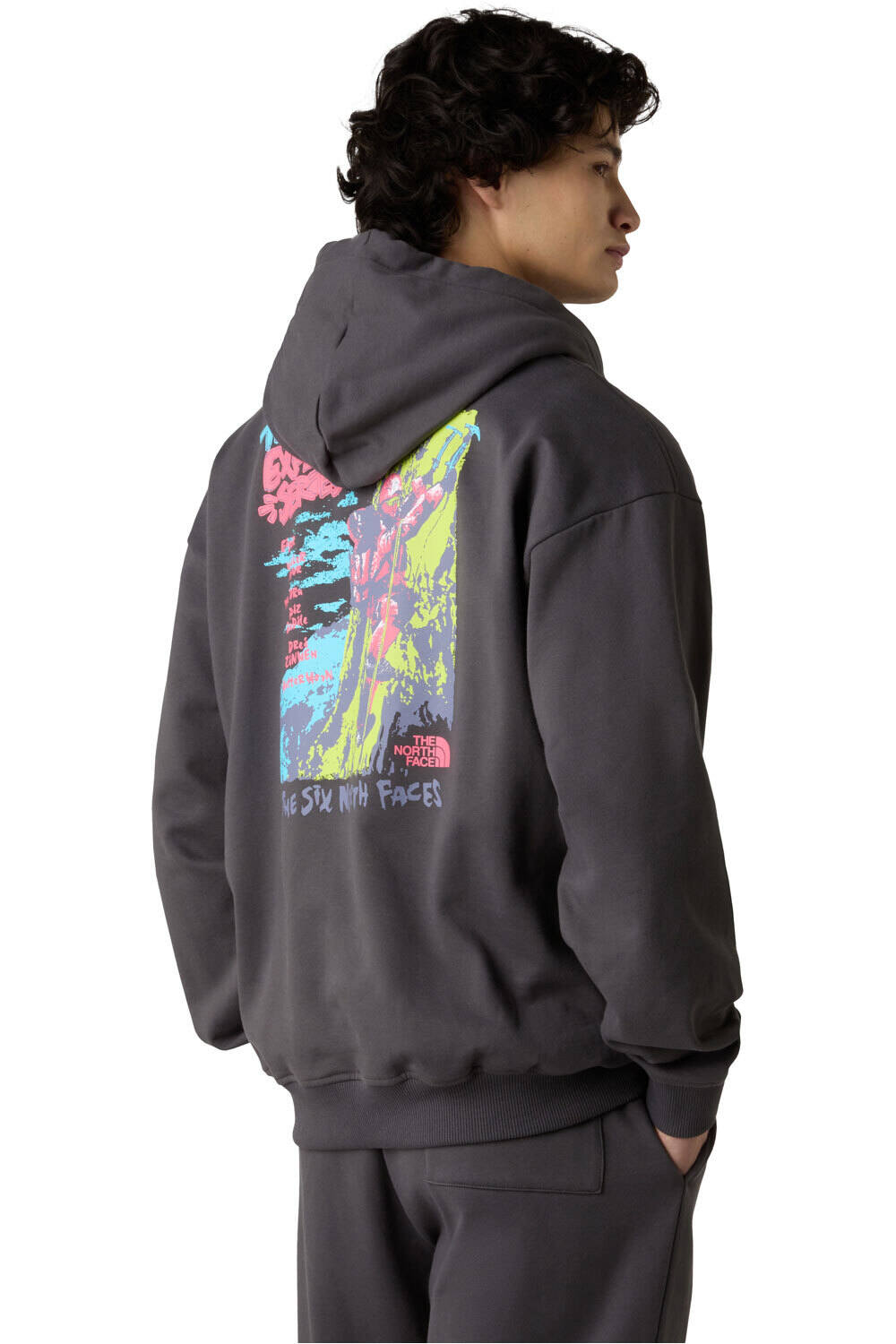 The North Face sudadera hombre U EXPEDITION CELEBRATION OVERSIZED HOODI vista trasera