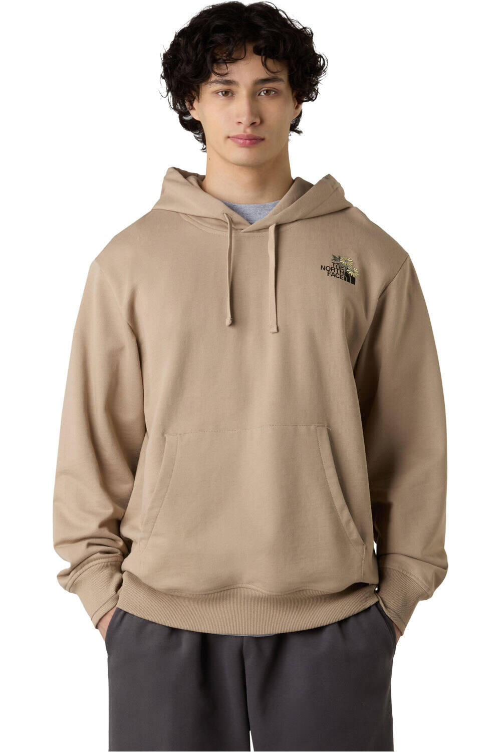 The North Face sudadera hombre U FLOWER DOME RELAXED HD SWEATSHIRT-GPH vista frontal