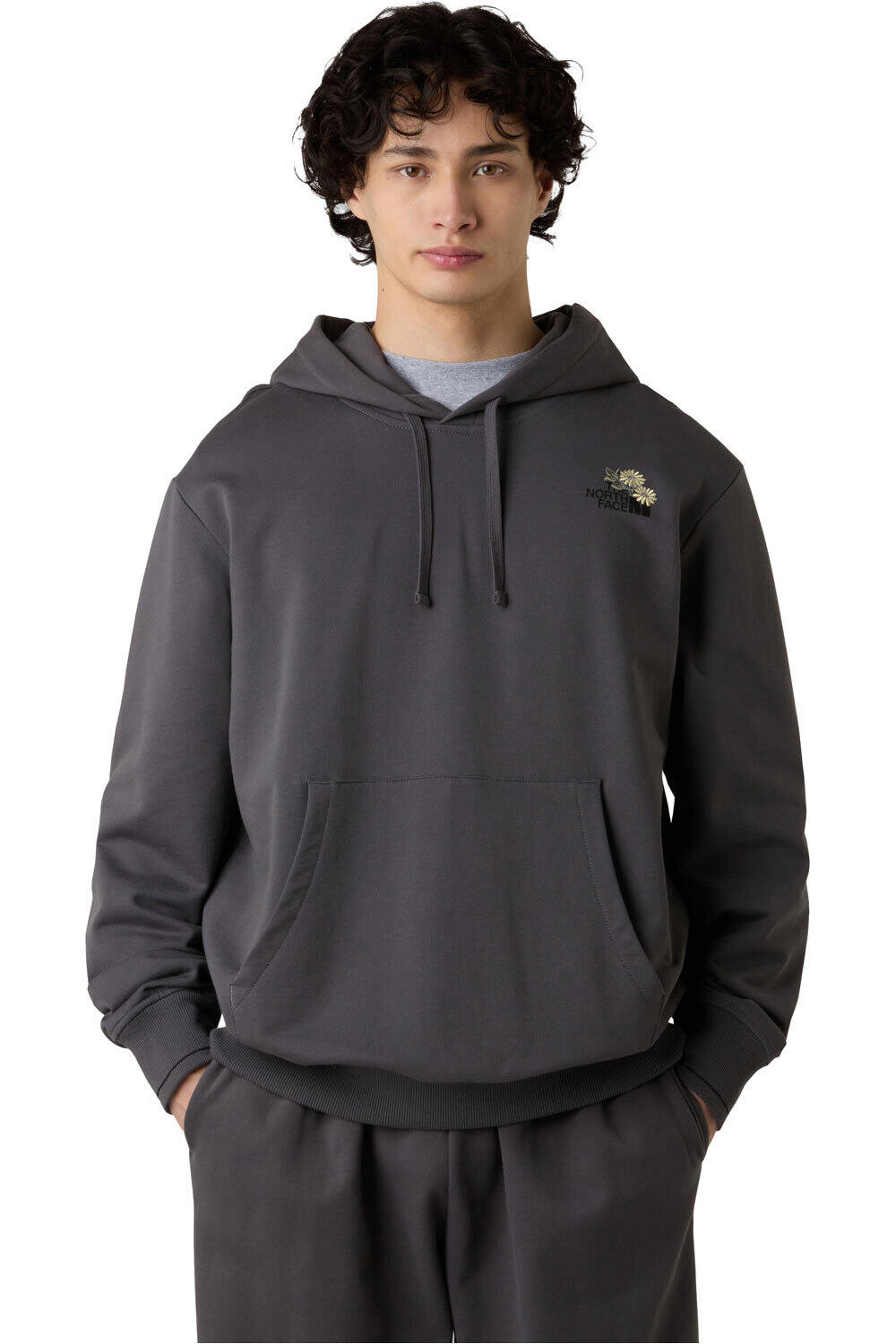 The North Face sudadera hombre U FLOWER DOME RELAXED HD SWEATSHIRT-GPH vista frontal