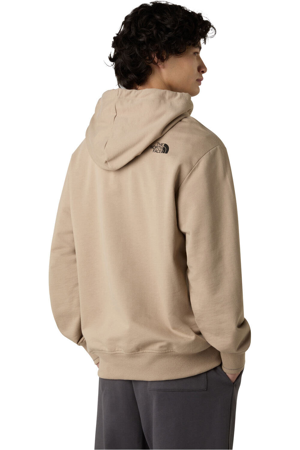 The North Face sudadera hombre U FLOWER DOME RELAXED HD SWEATSHIRT-GPH vista trasera
