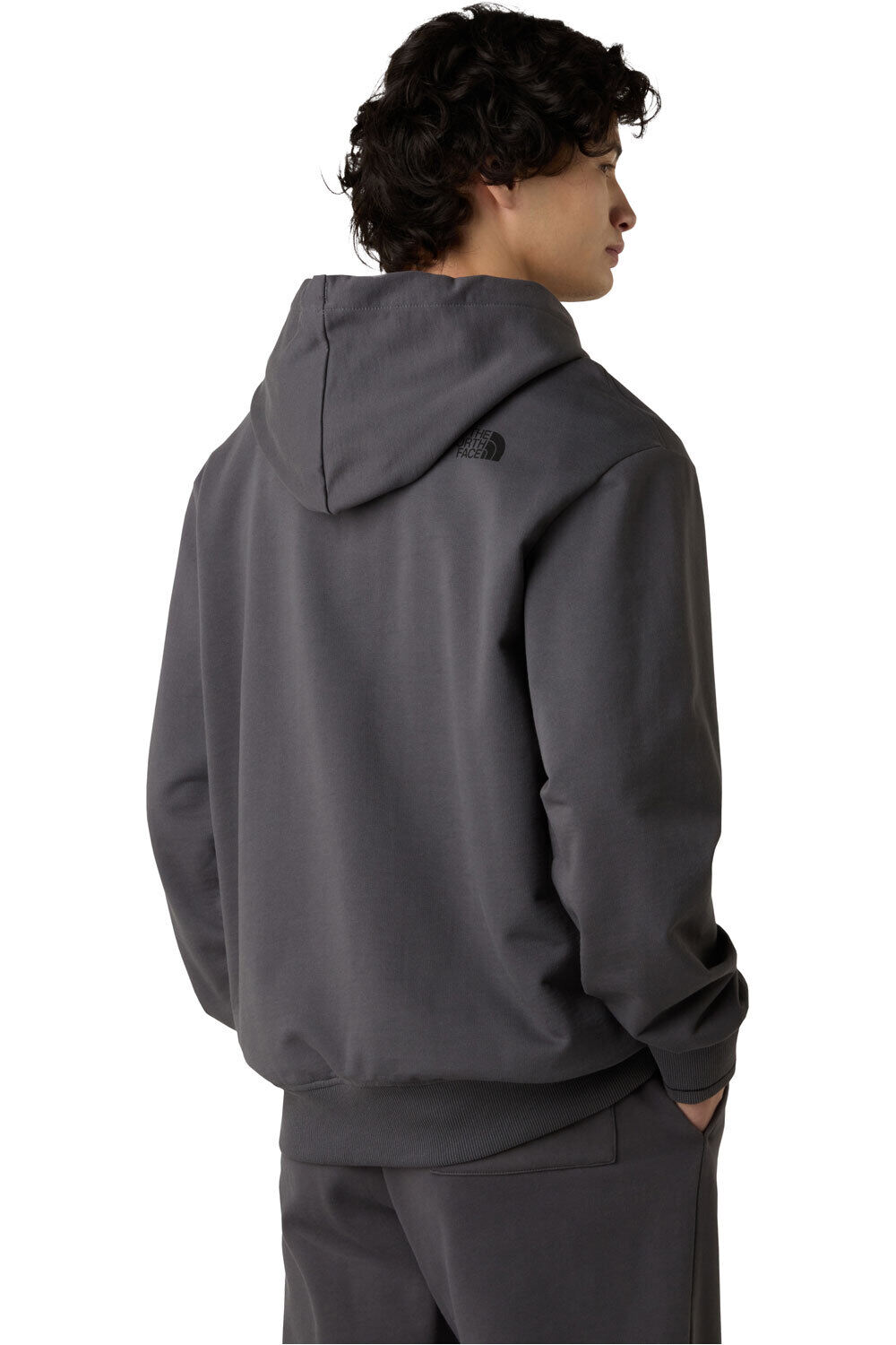 The North Face sudadera hombre U FLOWER DOME RELAXED HD SWEATSHIRT-GPH vista trasera