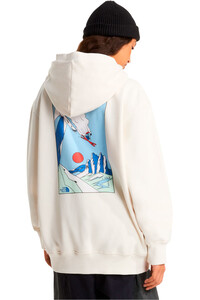 The North Face sudadera hombre U MOUNTAIN CELEBRATION RELAXED HOODIE-GR vista trasera