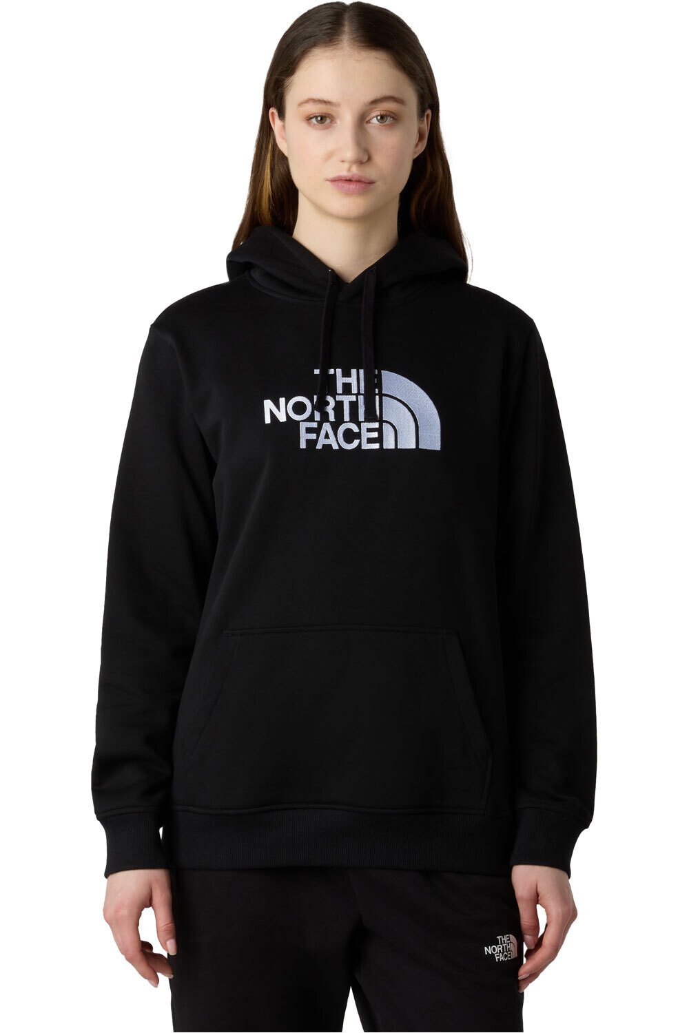 The North Face sudadera mujer W DREW PEAK PULLOVER HOODIE vista frontal