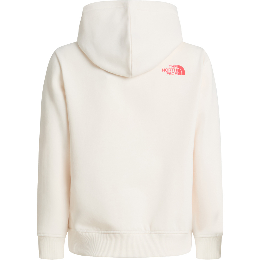 The North Face sudadera niña G BRAND PROUD RELAXED HOODIE vista detalle