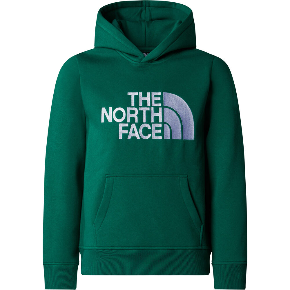 The North Face sudadera niño B DREW PEAK P/O HOODIE vista detalle