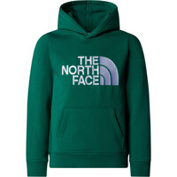 The North Face sudadera niño B DREW PEAK P/O HOODIE vista detalle